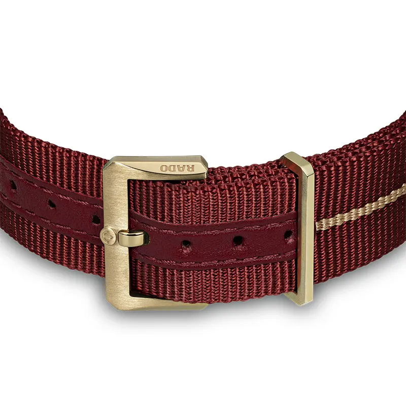 Rado Captain Cook Automatic Bronze Burgundy Dial Men's Watch | R32504407